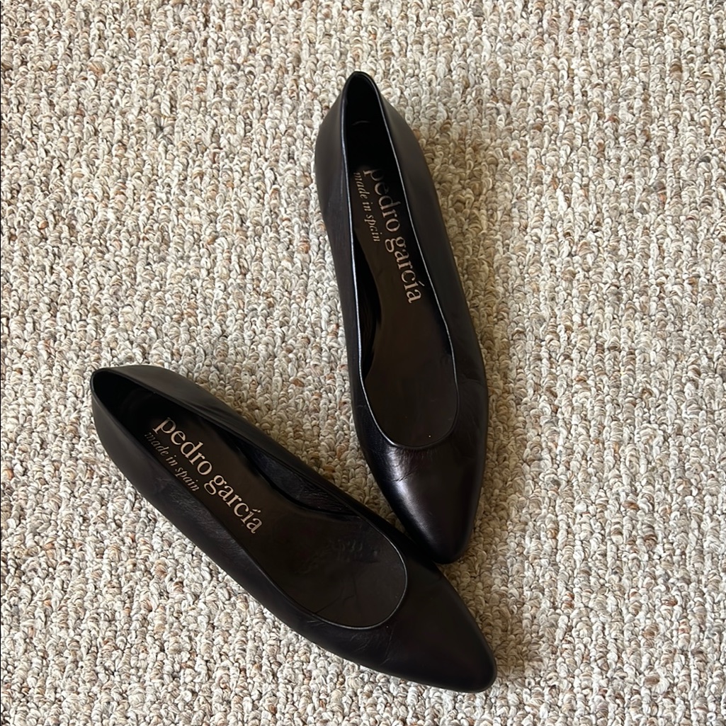 Pedro Garcia Sleek Minimalist Black Leather Flats